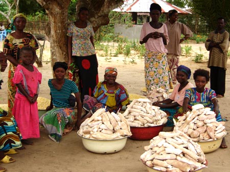 "manioca per il centro nutrizionale", Djuma
